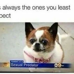 Meet your Posher, Gregory